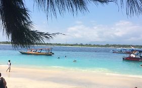 Gili Turtle Beach Resort